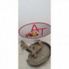 Fusee arriere gauche AUDI A3 2 PHASE 2 d’occasion