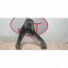Triangle avant gauche IVECO DAILY 4 PHASE 1 d’occasion