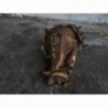 Pont (propulsion) TOYOTA RAV4 2 PHASE 1 d’occasion