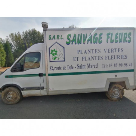 Panneau de porte avant droit RENAULT MASTER 2 PHASE 1 d’occasion