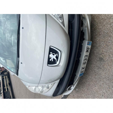 Poignee interieur arriere gauche PEUGEOT 207 PHASE 1 d’occasion