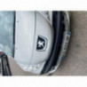 Poignee interieur arriere gauche PEUGEOT 207 PHASE 1 d’occasion