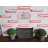 Radiateur eau RENAULT MEGANE II PHASE 1 d’occasion