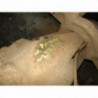 Pont (propulsion) MITSUBISHI PAJERO 3 PHASE 1 d’occasion