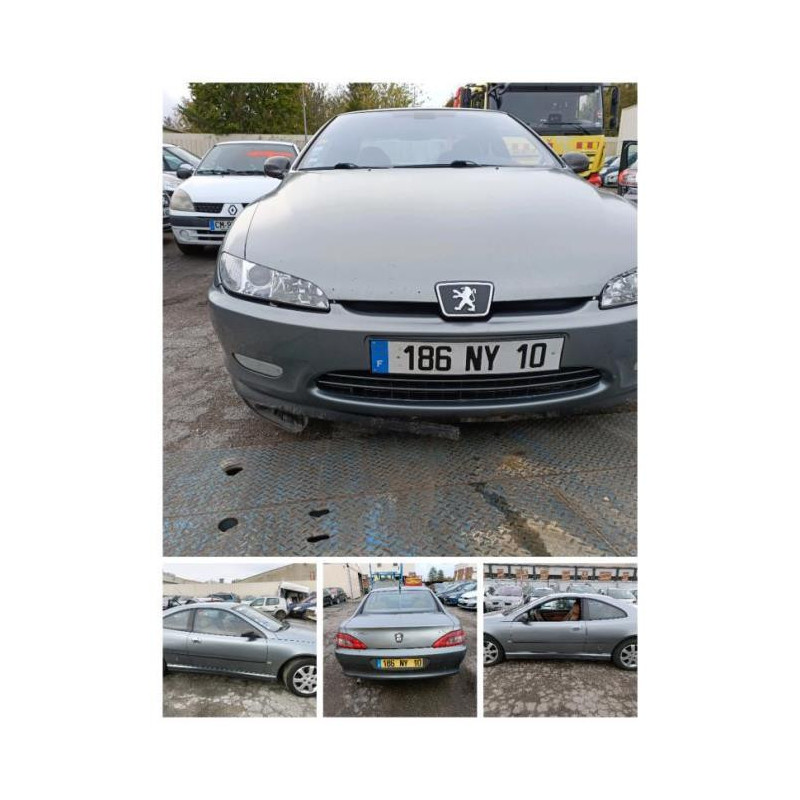 Baie de pare brise PEUGEOT 406 COUPE d’occasion