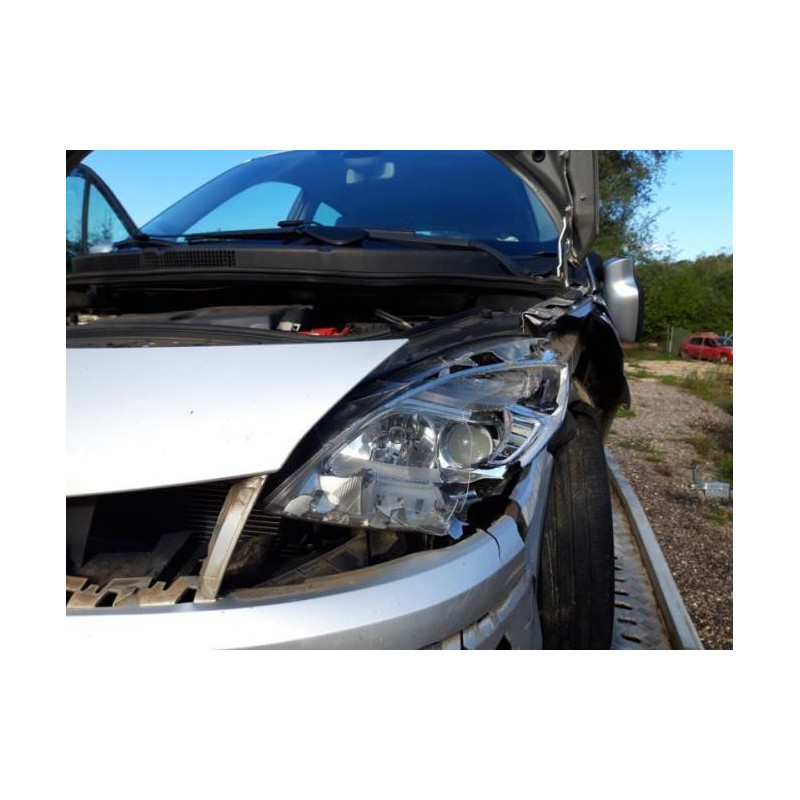 Platine feu arriere gauche RENAULT SCENIC 2 PHASE 2 d’occasion
