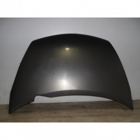 Capot LIGIER PROFESSIONAL X-TOO MAX d’occasion