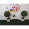 Bouton de warning FIAT 500 III d’occasion