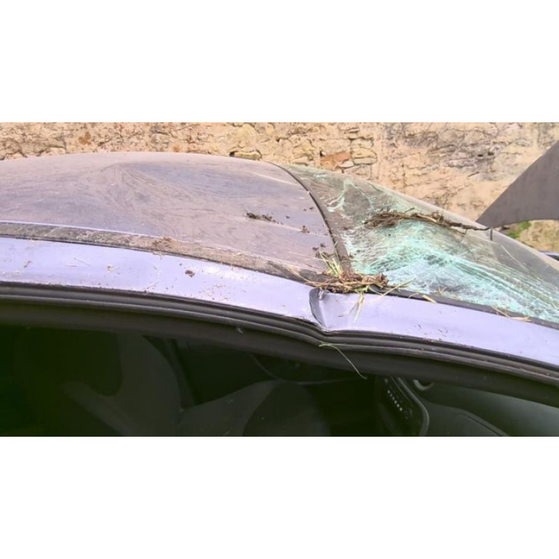 Tirant de porte arriere gauche CITROEN C3 1 PHASE 1 d’occasion
