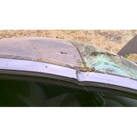 Tirant de porte arriere gauche CITROEN C3 1 PHASE 1 d’occasion