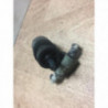 Pompe lave glace avant VOLKSWAGEN TOURAN 1 PHASE 1 d’occasion