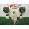 Vase d'expansion CADILLAC SEVILLE STS d’occasion