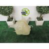 Vase d'expansion CADILLAC SEVILLE STS d’occasion