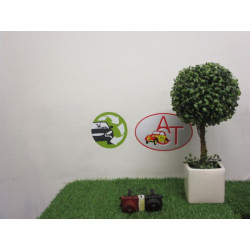 Bouton de warning RENAULT MEGANE II COUPE PHASE 1 d’occasion