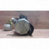 Bouteille deshydratante AUDI A6 2 PHASE 2 d’occasion