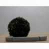 Poignee de maintien BMW SERIE 3 E46 PHASE 1 d’occasion