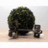 Tirant de porte avant droit JEEP  d’occasion