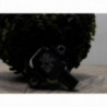 Capteur VOLKSWAGEN POLO 5 PHASE 2 d’occasion