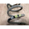 Ressort de suspension arriere gauche VOLKSWAGEN GOLF PLUS PHASE 1 d’occasion
