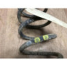 Ressort de suspension arriere droit VOLKSWAGEN GOLF PLUS PHASE 1 d’occasion