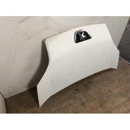 Capot PEUGEOT BIPPER d’occasion