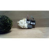 Moteur leve vitre avant droit RENAULT LAGUNA 3 PHASE 3 d’occasion
