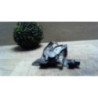 Serrure de capot VOLVO V 50 PHASE 1 BREAK d’occasion
