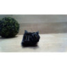 Commande regulateur vitesse RENAULT SCENIC 2 PHASE 2 d’occasion