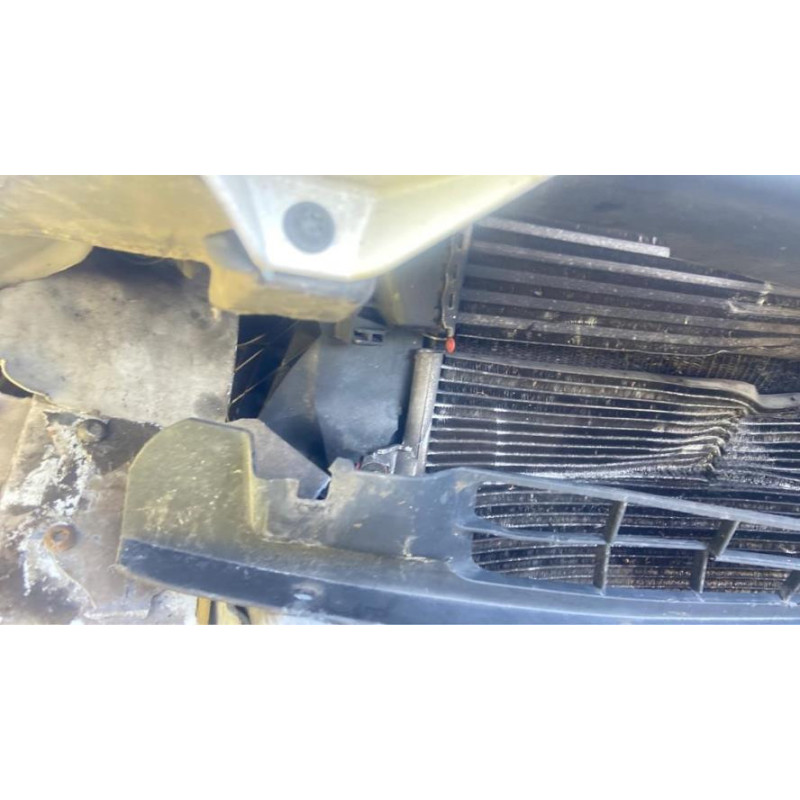 Poignee de maintien RENAULT MASCOTT d’occasion