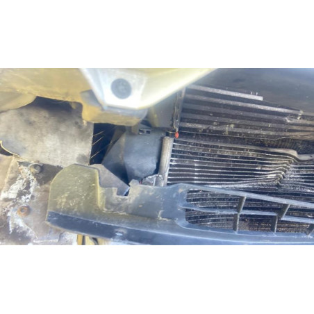 Poignee de maintien RENAULT MASCOTT d’occasion