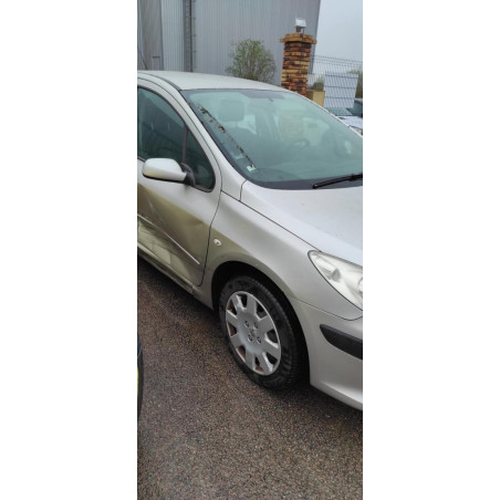 Garniture de pavillon PEUGEOT 307 PHASE 2 d’occasion