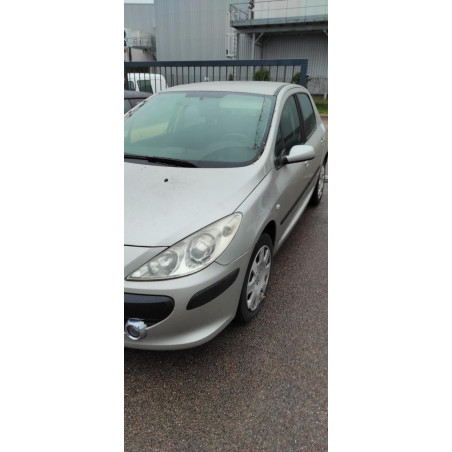 Garniture de pavillon PEUGEOT 307 PHASE 2 d’occasion
